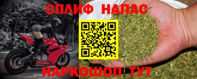 каннабис Новозыбков