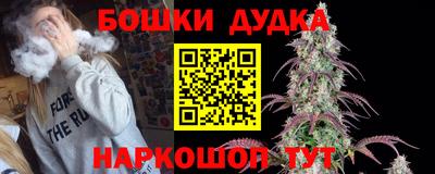 индика Новокубанск