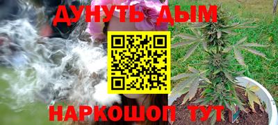 индика Новокубанск