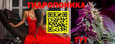 каннабис Новозыбков