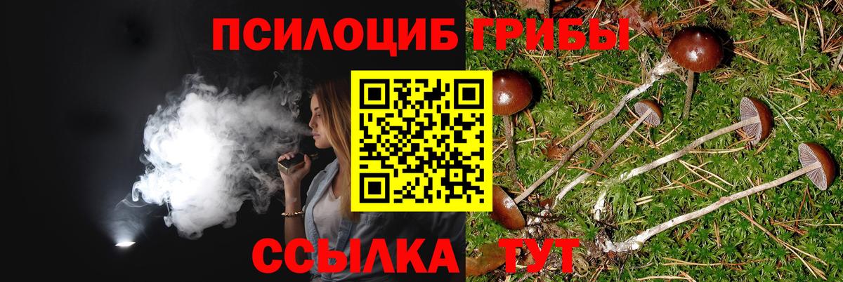 Псилоцибиновые грибы GOLDEN TEACHER Воронеж